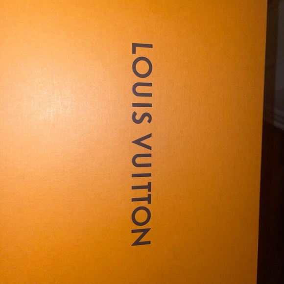 Louis Vuitton Pillow Comfort Ankle Boots - Picture 5 of 6